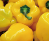 pepper